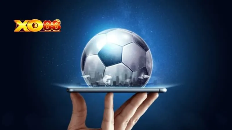 Hướng dẫn dọc kèo cược đồng banh hiệu quả